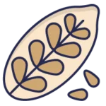 NATIVE MUSTARED SEEDDS